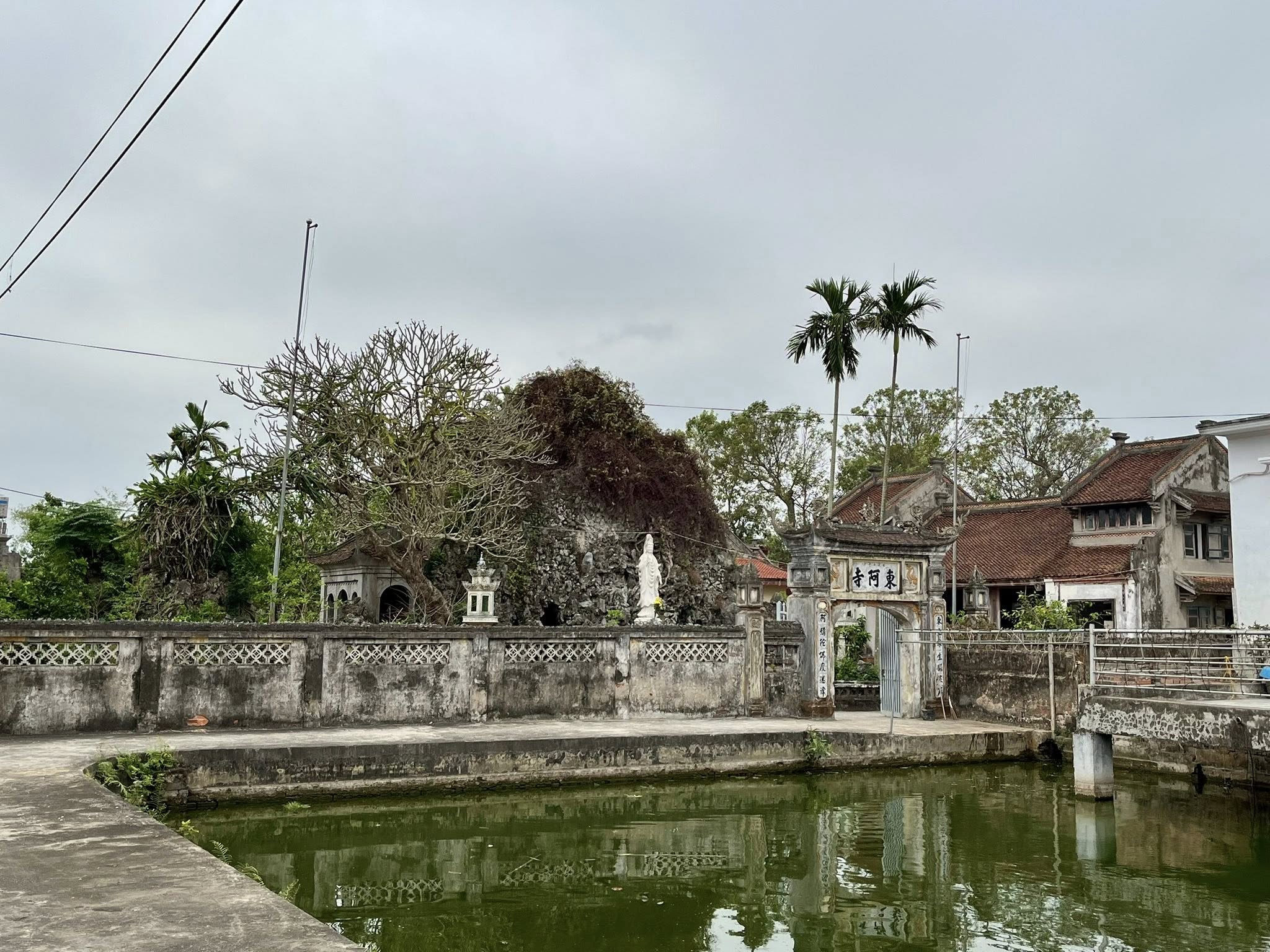 “Từ ân nghĩa dưỡng dục đến di sản văn hóa: Tưởng niệm 92 năm ngày mất Cụ Trần Mỹ – Người thắp sáng con đường học vấn cho đồng chí Nguyễn Đức Cảnh”