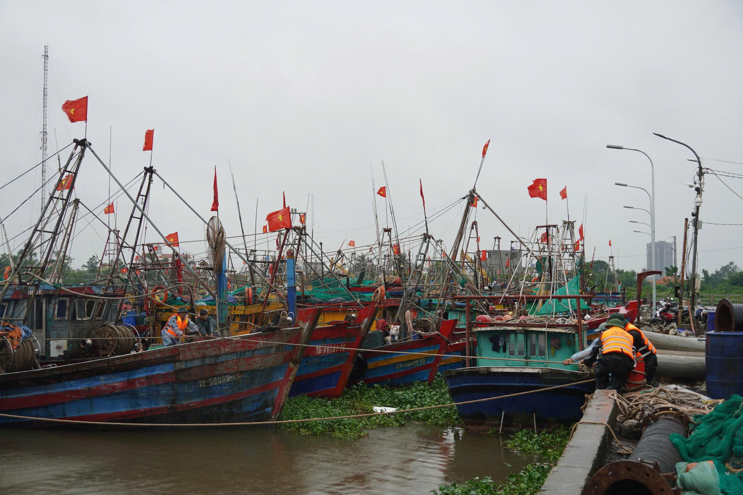 Ban Chỉ huy Phòng thủ Dân sự xã Thái Thụy khẩn trương triển khai các biện pháp ứng phó bão, bảo đảm an toàn người và phương tiện trên biển